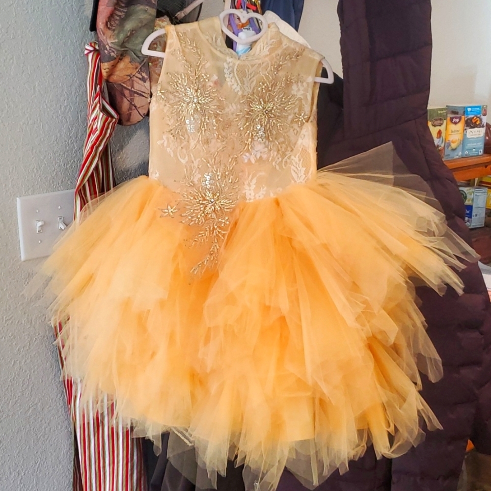 Child pagent dress